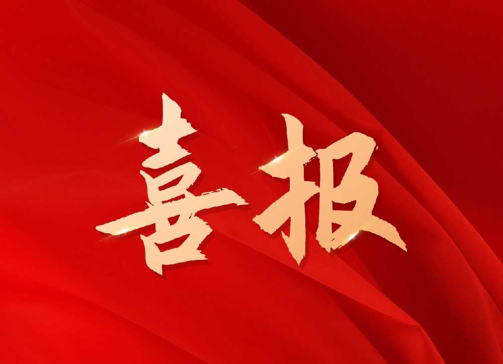 公司入选山东省质量管理经验及咨询成果优秀案例
